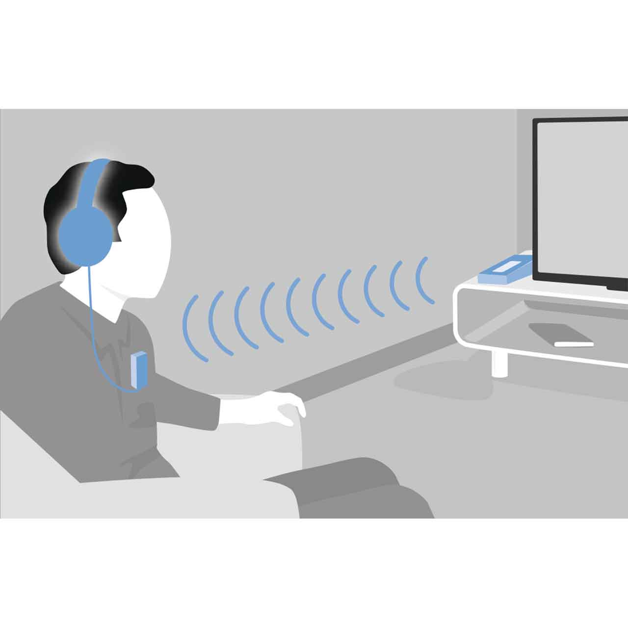 Sennheiser Flex 5000 Anwendungsbeispiel